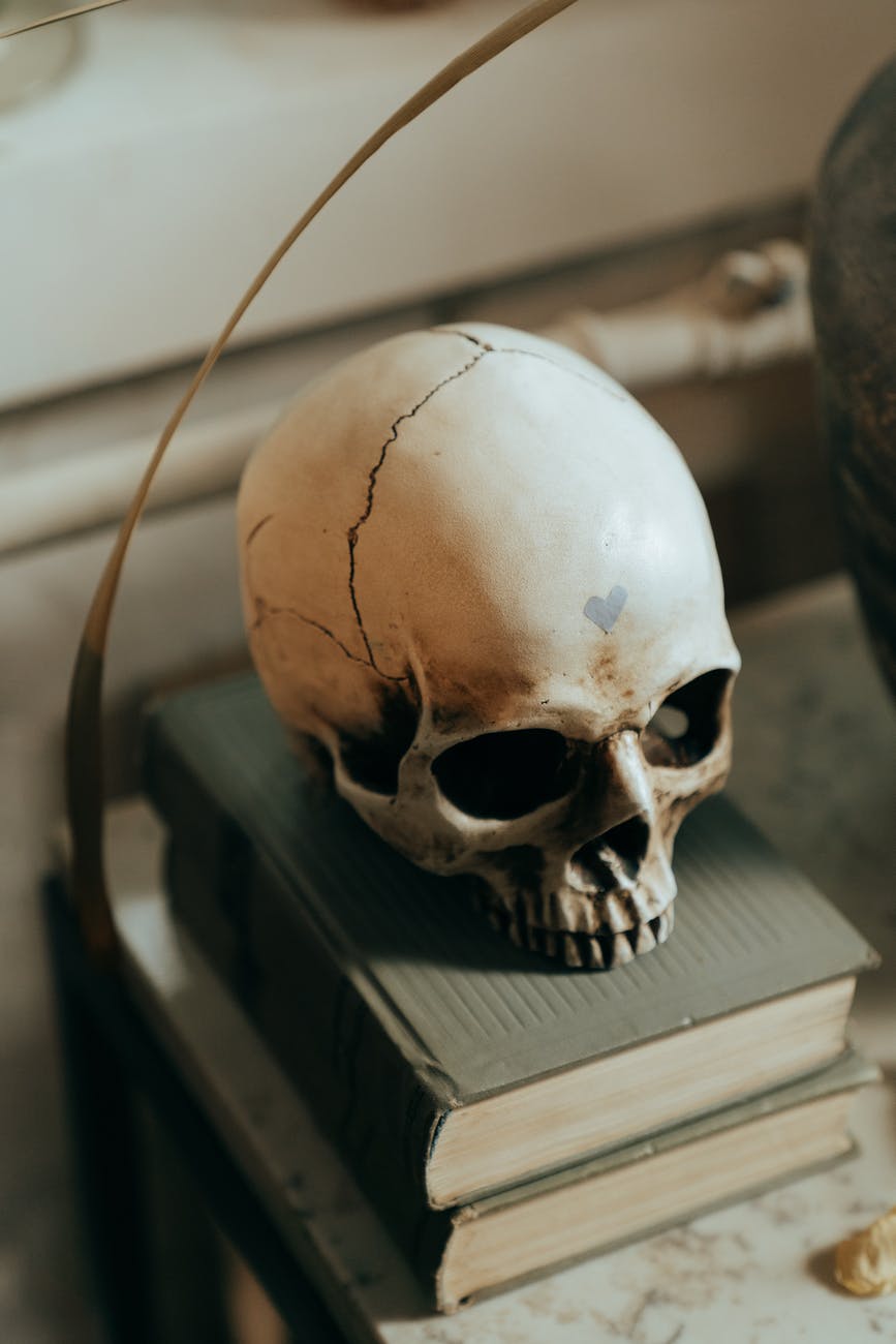 white skull on white wooden table